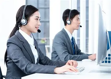 软件服务商